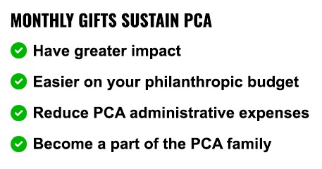 Reasons to Give Monthly